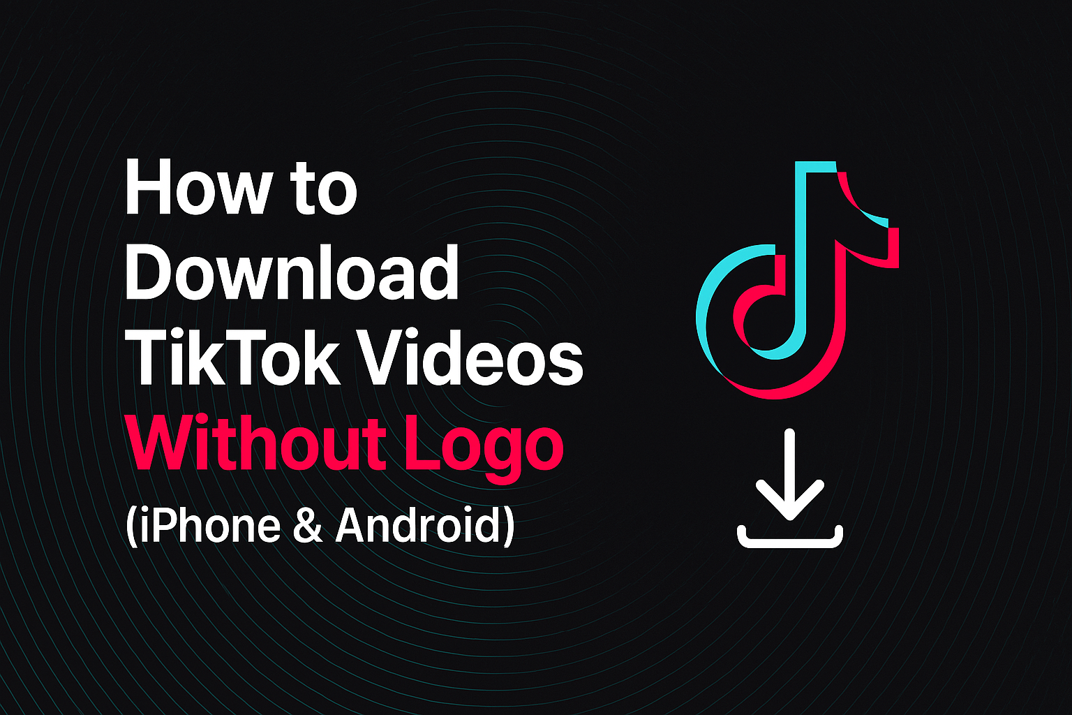 How to Download TikTok Videos Without Logo (iPhone & Android)